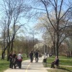 y247355774104749588_2