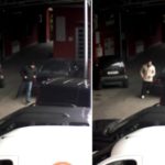 y247361653435584421_8