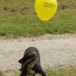 y247362457445267855_5