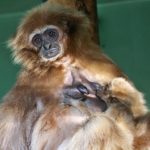 y247365271184661982_1