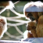 y247365271184661982_2