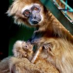 y247365271184661982_3