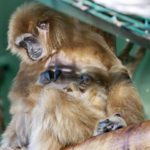 y247365271184661982_4