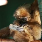 y247365271184661982_6