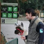 y247378709754285626_1