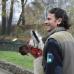 y247378709754285626_11