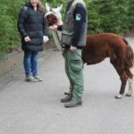 y247378709754285626_12