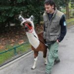 y247378709754285626_13