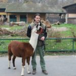 y247378709754285626_14