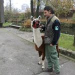 y247378709754285626_6