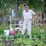 y247397191057605878_3