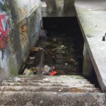 y247401294136954527_0