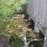 y247401294136954527_2