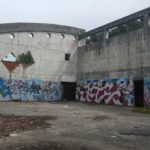 y247401294136954527_7