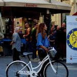 y247404243459212411_7