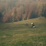 y247406829305921335_2