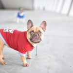 y247414711619280829_0