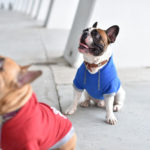 y247414711619280829_4