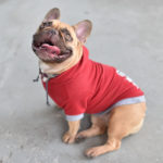 y247414711619280829_9