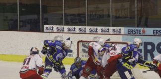 Medveščak sa šest komada ispratio Albu kući