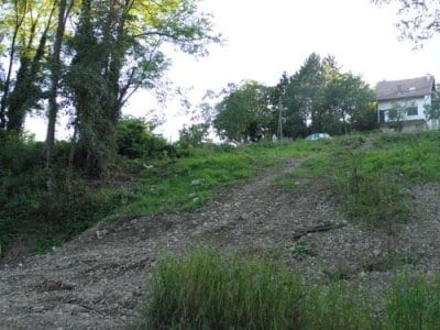 y260397369049308