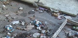 Vrane im raznose smeće po ulici jer nemaju kante