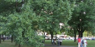 U Prečkom otvoren park Emila Cosetta