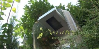 Nekada glavno sredstvo komunikacije, sada obrasle grmljem