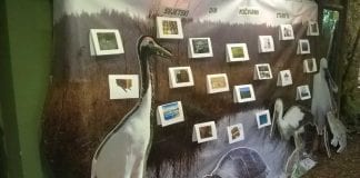 Ovoga vikenda u ZOO vrtu naučite raditi hranilice za ptice