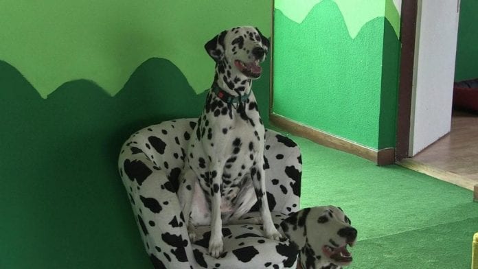 vlcsnap-2017-03-04-09h52m46s106