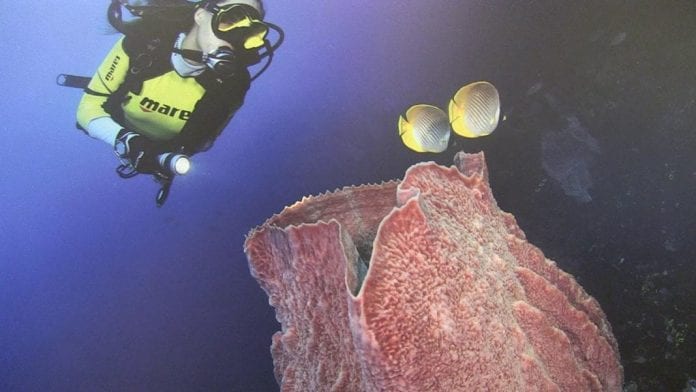 vlcsnap-2017-04-14-13h48m02s93