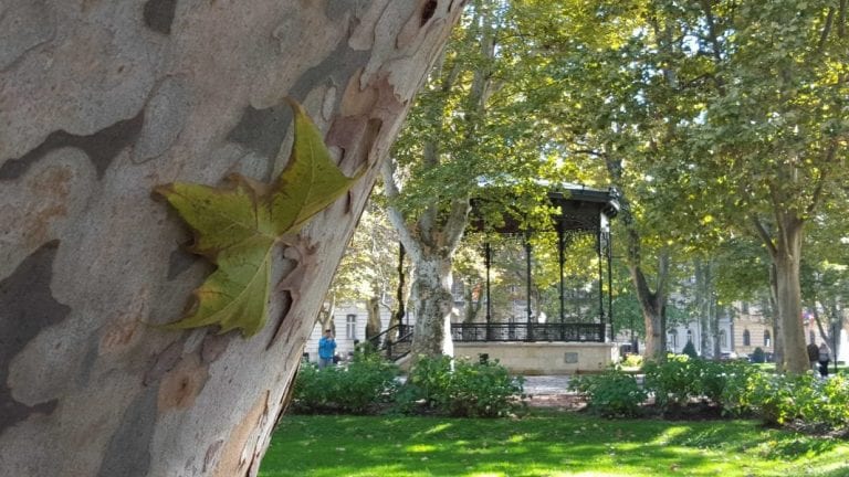 Romantična jesen: Pogledajte kako izgleda Zrinjevac pod lišćem