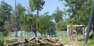 U Zoološkom uđite u nastambu i promatrajte ptice s metra udaljenosti