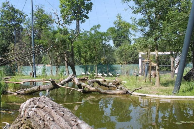 U Zoološkom uđite u nastambu i promatrajte ptice s metra udaljenosti