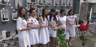 Postani Vinska kraljica Zagrebačke županije