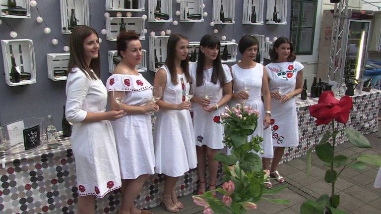 Postani Vinska kraljica Zagrebačke županije