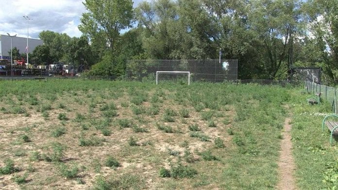 vlcsnap-2017-07-27-16h48m29s5