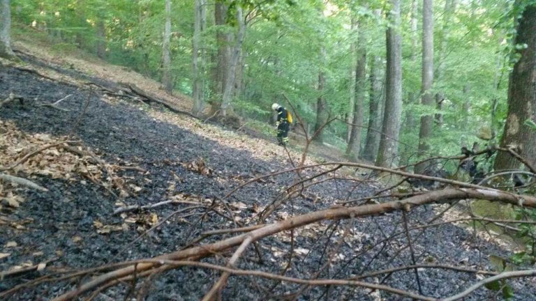 POŽAR NA MEDVEDNICI: Građane prestrašio dim sa Sljemena, vatru gasili dobrovoljci iz Šestina