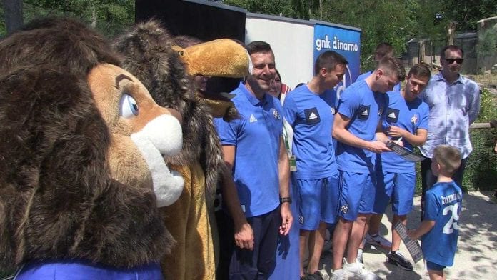 vlcsnap-2017-08-05-16h35m29s133