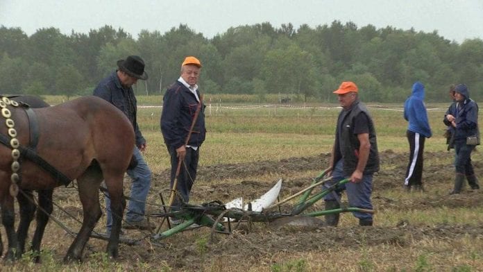 vlcsnap-2017-09-02-19h32m13s188