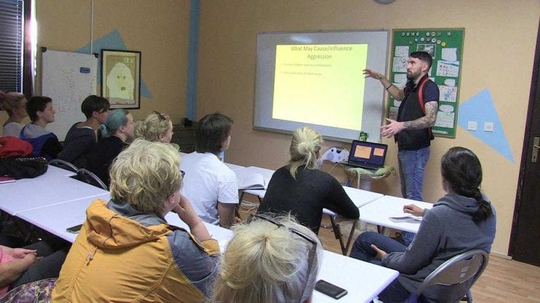 Zanimljiva četverodnevna radionica u Dumovcu o ponašanju pasa