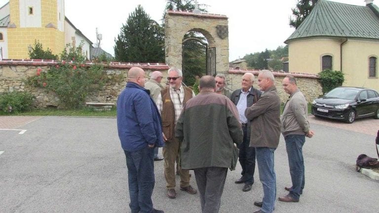 DIVLJE SVINJE U PODSLJEMENU: Plaše djecu, a stradao je i jedan kućni ljubimac