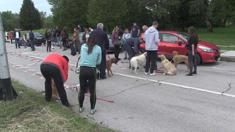 NIŠTA OD REKORDA: Zagrepčanin Niko nije uspio prošetati stotinu pasa istovremeno, na proljeće novi pokušaj