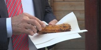 Uz portugizac i pečenjake sa Savice obilježen početak miholjskog ljeta