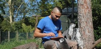 VIJESTI IZ ZOOLOŠKOG VRTA: Timaritelji u srijedu slave svoj dan