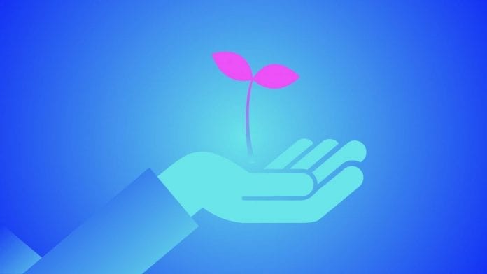 new-life-2458282_1280 (1)