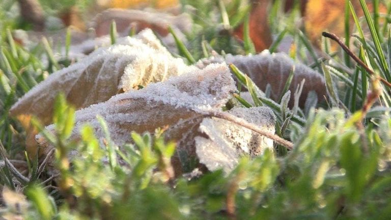 ULAZIMO U PRAVO ZIMSKO RAZDOBLJE: 1. prosinaca klimatološki počinje zima
