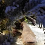 Advent u Zooloskom vrtu_4