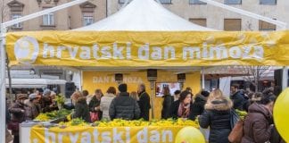 DAN MIMOZA: Nacionalni dan borbe protiv raka vrata maternice