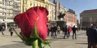 Dan žena u znaku ruže